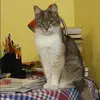Отзыв от Алла Львова